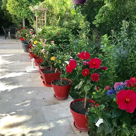 Bed and breakfast Domaine De L'aufrene 3*